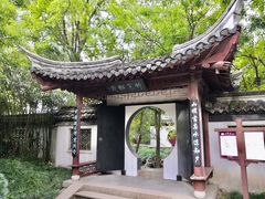 -水绘园