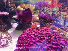 -沈阳海洋探索中心