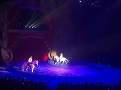 -珠海横琴长隆《卡卡虎奇遇记》