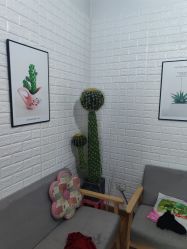 -嘟嘟卡奇儿童摄影