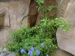 -成都市活水公园