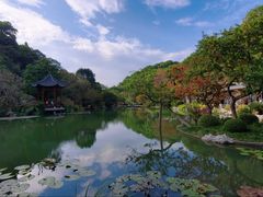 -云溪植物园