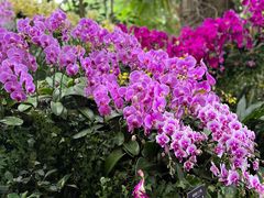 -上海辰山植物园
