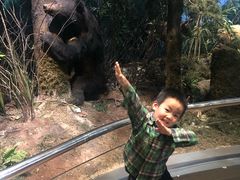 -陕西自然博物馆