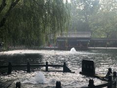 -百脉泉景区