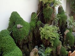 -丽江庭院之爱在路上(西单店)