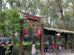 -合肥滨湖国家森林公园