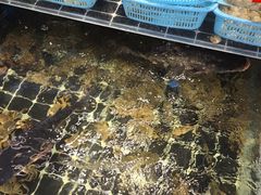 -沽上民肴·海鲜锅贴·天津菜(福州道鸿正家园店)