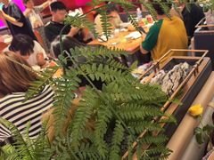 -老板恋上鱼(恒隆广场店)