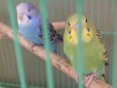 -万隆广场(昆仑大街店)