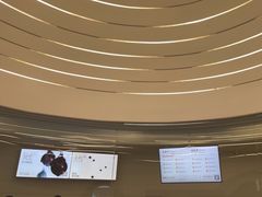 -喜茶(迪士尼小镇DP店)