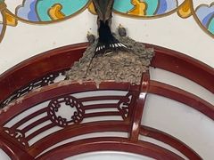 -鸡鸣驿城