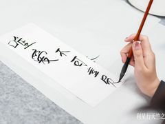 -利星行天竺之星汽车有限公司