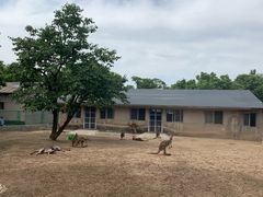 -西安秦岭野生动物园