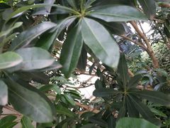 -陶祖圣境风景区