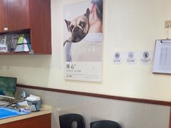 -艾贝尔宠物医院·24H转诊中心·肿瘤猫专科(江宁双龙店)