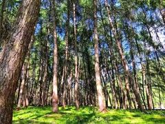 -硗碛藏寨·神木垒景区