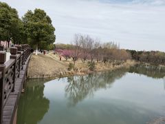 -南湖湿地公园