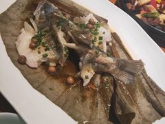 -梧桐花园餐厅(新城店)