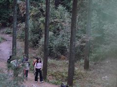 -四明山国家森林公园