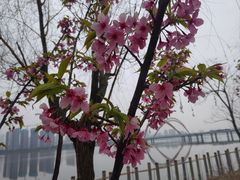 -艾溪湖湿地公园