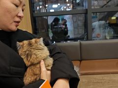 -半岛宠物医院24小时·内窥镜·牙科·碎石中心(府城大道店)