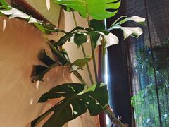 -南园民国茶楼餐厅·常州菜(北大街店)