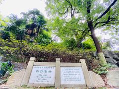 -白沙古井