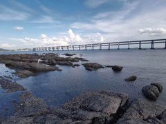 -星海湾跨海大桥