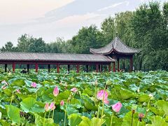 -云居湖