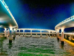 -演武大桥观景平台