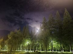 -黄海国家森林公园