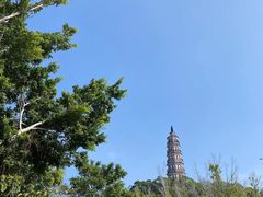 -顺峰山公园