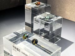 -中国地质博物馆