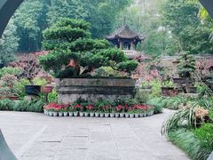 -成都杜甫草堂博物馆