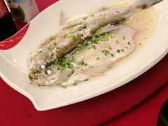 蒸鲥鱼-虹迎轩·中餐厅(虹桥迎宾馆店)