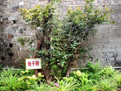 -百年中和祥(三河古镇店)
