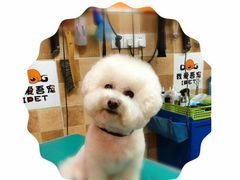 -我爱吾宠宠物美容院(朝阳路店)