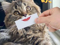 -美迦爱-牙专科·兔科·骨科诊疗中心(北苑店)