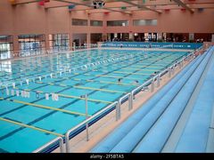 -南山文体中心-游泳馆