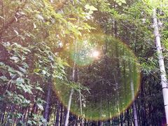 iphone_upload_pic-旺山景区