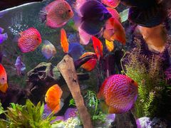 -上海海洋水族馆