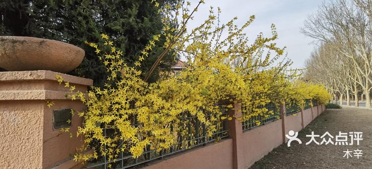 香江花园俱乐部乐在其中