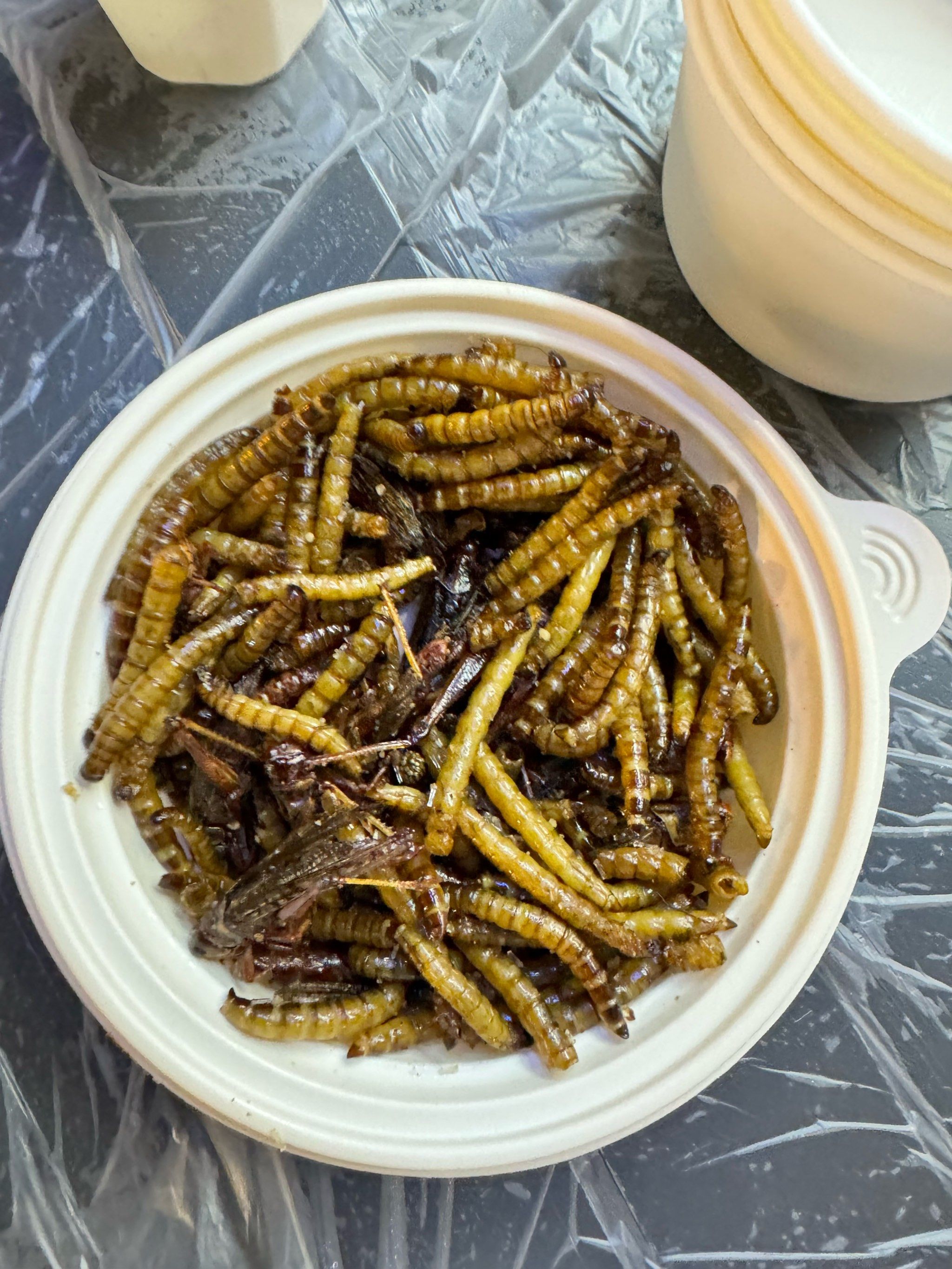 炸虫子🐛你们吃过吗?