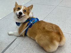 -汇德隆银隆