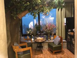 -V-STAR威斯达•高级私人定制