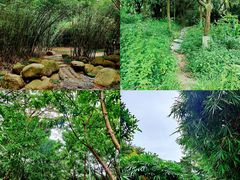 -深圳国际园林花卉博览园