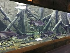 -梦幻海洋王国(吾悦广场张家港店)