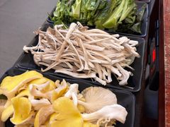 鹿茸菌-大理.老字号渝记酸萝卜乌鱼(古城总店)