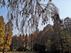 -东湖磨山景区